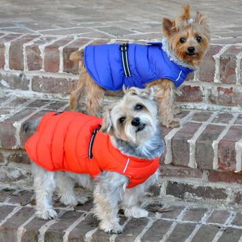 x small dog coat