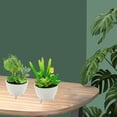 thumbnail image 3 of 2 uds simulación de flores falsas suculentas bonsái pequeños adornos creativos plantas verdes artificiales, 3 of 5