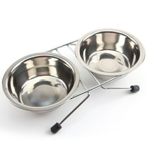 Masteelf Stand Dogs Cat Dishes Bowls for Cats Elevated Feeder