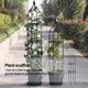 thumbnail image 5 of Garden Tower Trellis Andamio para plantas a prueba de herrumbre para plantas trepadoras (A H145cm), 5 of 8