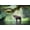 Unframed, variant on Art.com Wild Elephant in the Beautiful Forest at Kanchanaburi Province in Thailand, (With Clipping Path) Stretched Canvas Print Wall Art by bundit jonwises, 18" x 12"