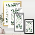 thumbnail image 4 of Designart 'Ancient Botanicals VIII' Traditional Framed Art Print, 4 of 4