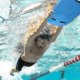 thumbnail image 4 of 26-27 Versatile Swimming Kickboard, Suitable for Children and Adults, Enhance Your Swim Training, 4 of 5