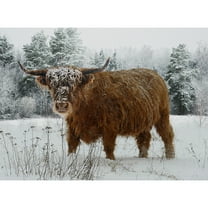 32" X 42" Panel Call of the Wild Highland Cow in Serene Snowy Landscape Hoffman California Fabrics Caramel Cotton Fabric Panel (X5567-606CARAMEL)