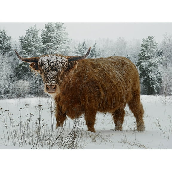 32" X 42" Panel Call of the Wild Highland Cow in Serene Snowy Landscape Hoffman California Fabrics Caramel Cotton Fabric Panel (X5567-606CARAMEL)
