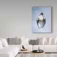 thumbnail image 3 of Trademark Fine Art 'Peregrine Falcon' Canvas Art by Ron Parker, 3 of 3