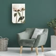 thumbnail image 4 of Trademark Fine Art Pictufy Studio III Peony 24 Canvas Wall Art, 4 of 4