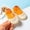 Orange, variant on Fengyings Shoes for Boys Girls Infant Toddler First Walkers Non-Skid Slipper Shoes with Rubber Sole Sneaker