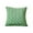 Green, variant on chaungfeng Soft Decorative Throw Pillow Covers 18 X 18 Inches, Plush Neutral Square Leaf Velvet Cushion Cases for Couch Sofa Bedroom Car Home Decor (Coffee)