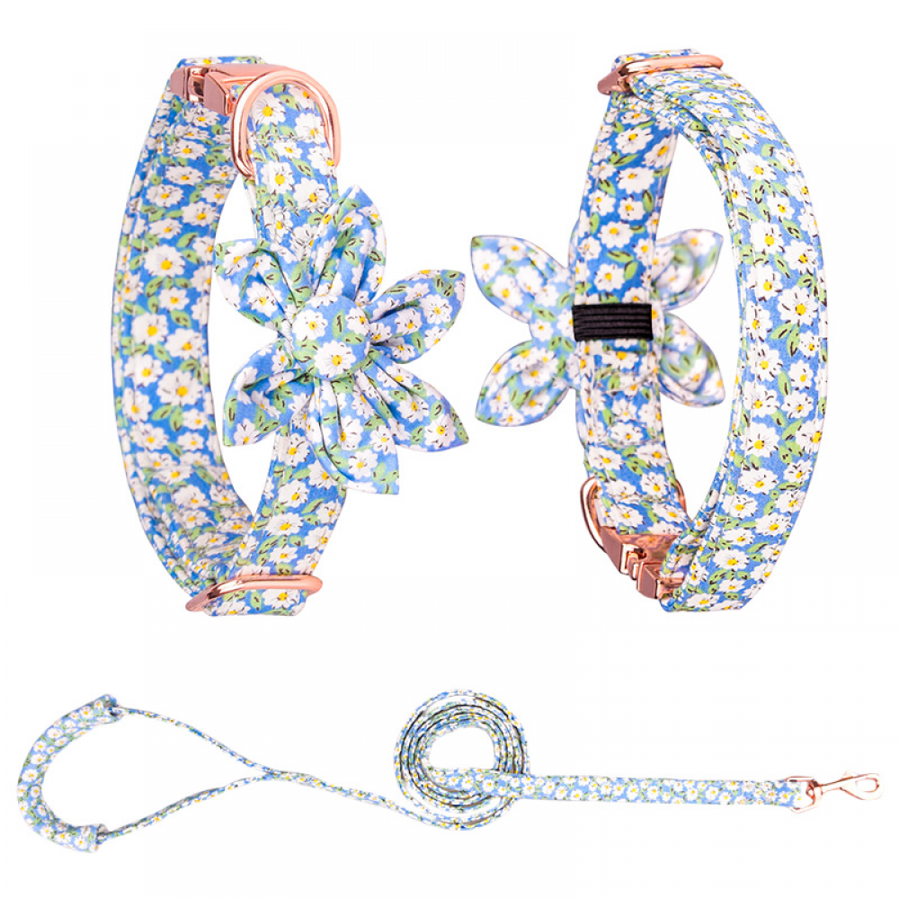 SAYTAY Girls Dog Collars and Leashes, Dog Collars with Detachable