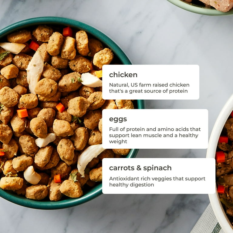 Freshpet Fresh Dog Food Tender Chicken Recipe lb Gently Steam