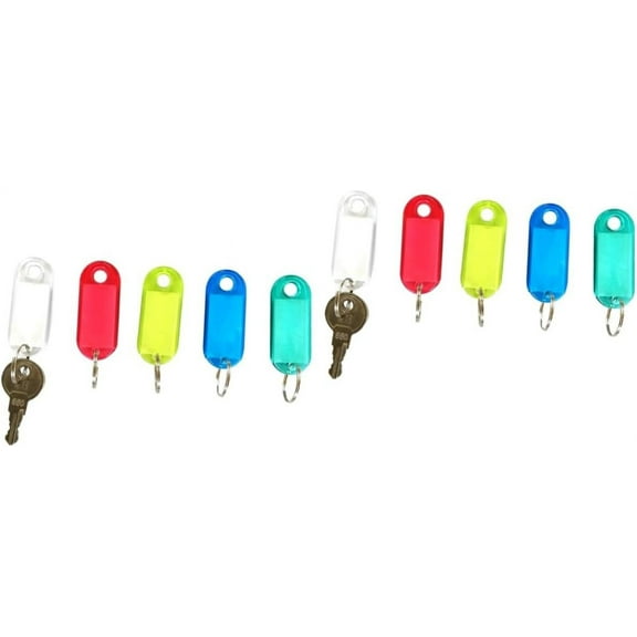 100 Pcs Pet Tags Colored Labels Key Label Key Tag with Ring Tag Keychain Blank Labeling Tags Id Tags Labels Key Tags with Ring Plastic Luggage Tags Belt Ring Travel School Supplies
