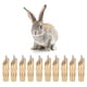 thumbnail image 1 of Bebedero automático para tetina Fox Rabbit - Juego de 10, 1 of 10