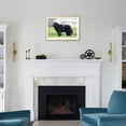 thumbnail image 6 of Newfoundland Dog, Framed Art Print Wall Art Sold by Art.Com, 6 of 6