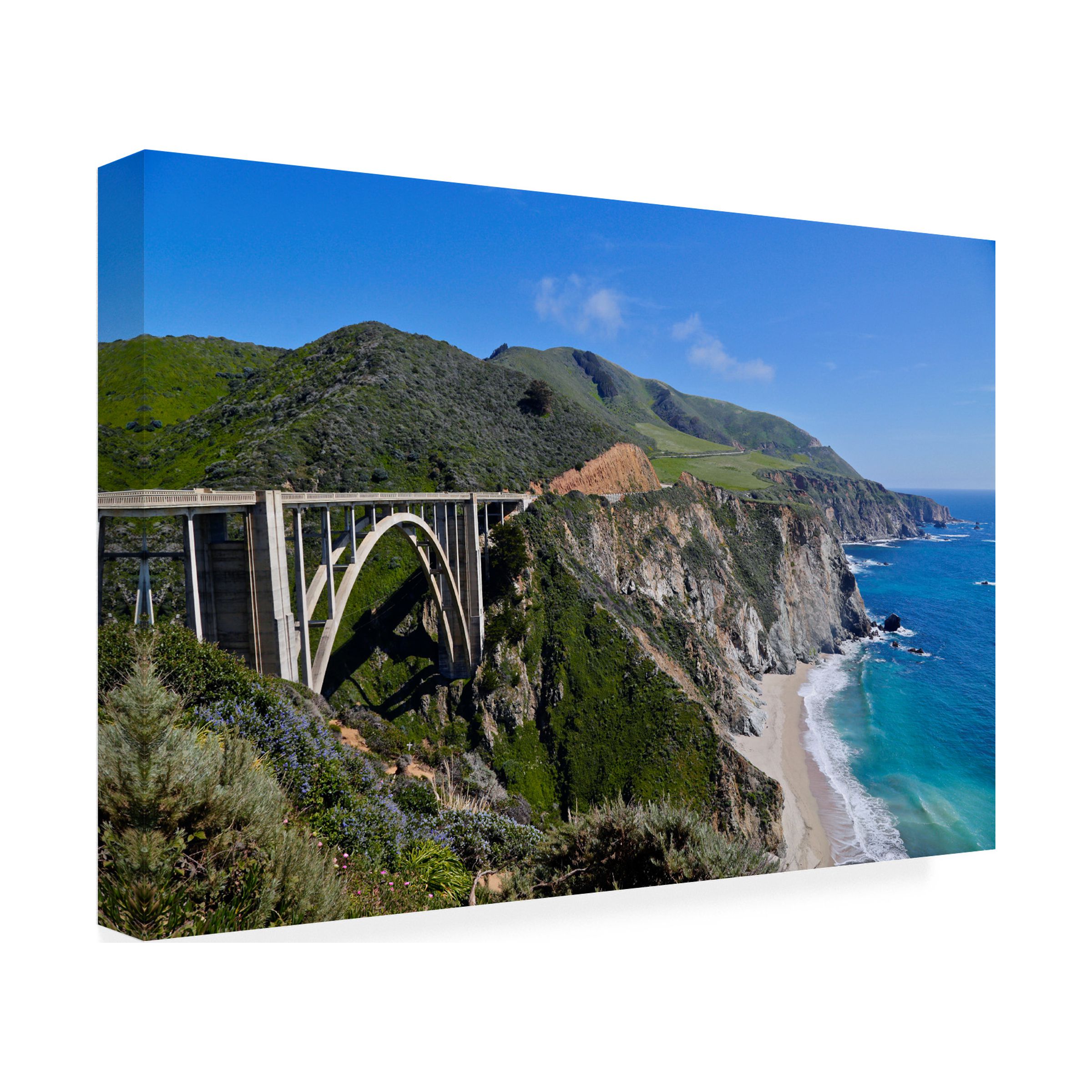 Susan Vizvary Photography 'Bixby Bridge' Canvas Art