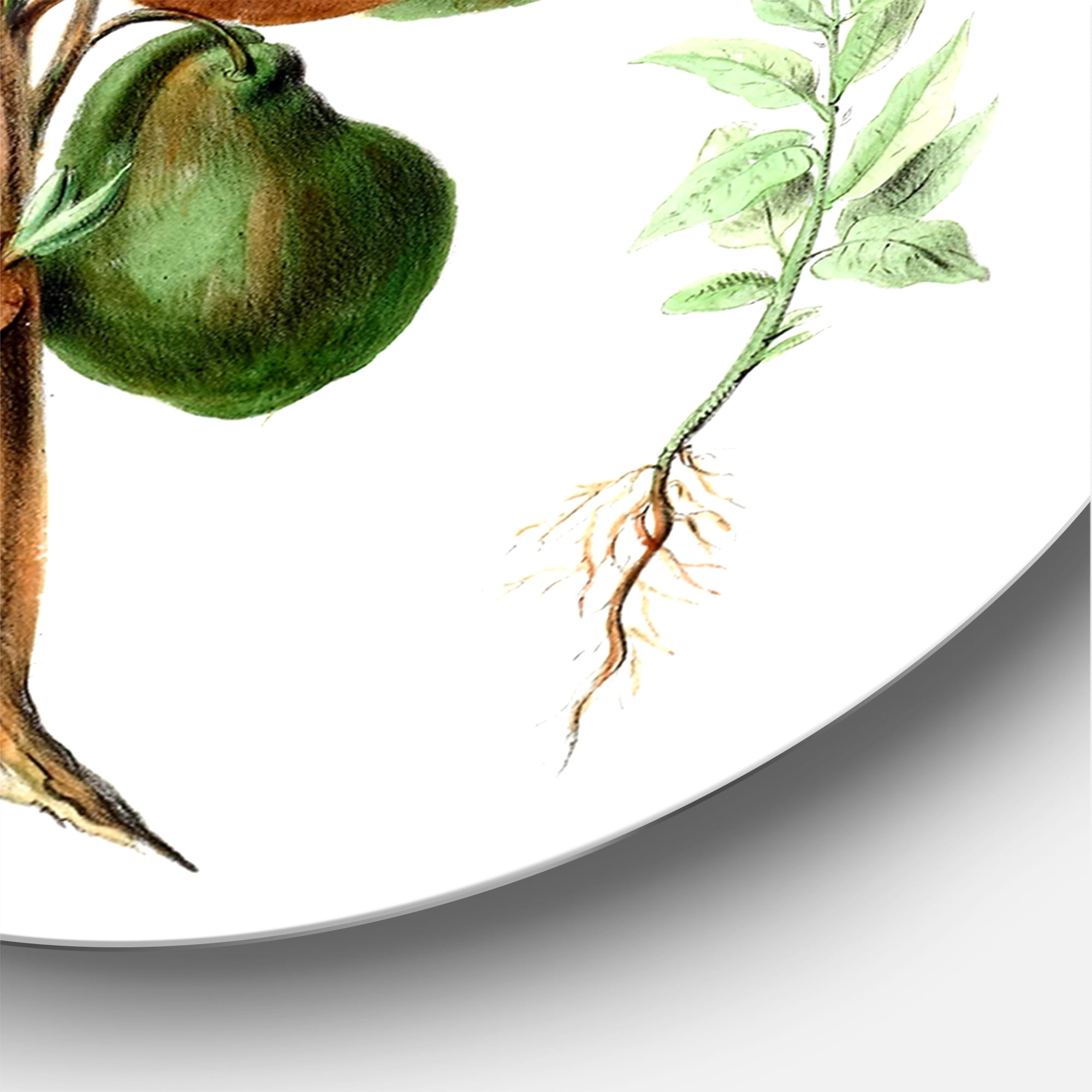 Designart 'Ancient Plant Life XXVIII' Traditional Circle Metal Wall Art 36x36 - Disc of 36