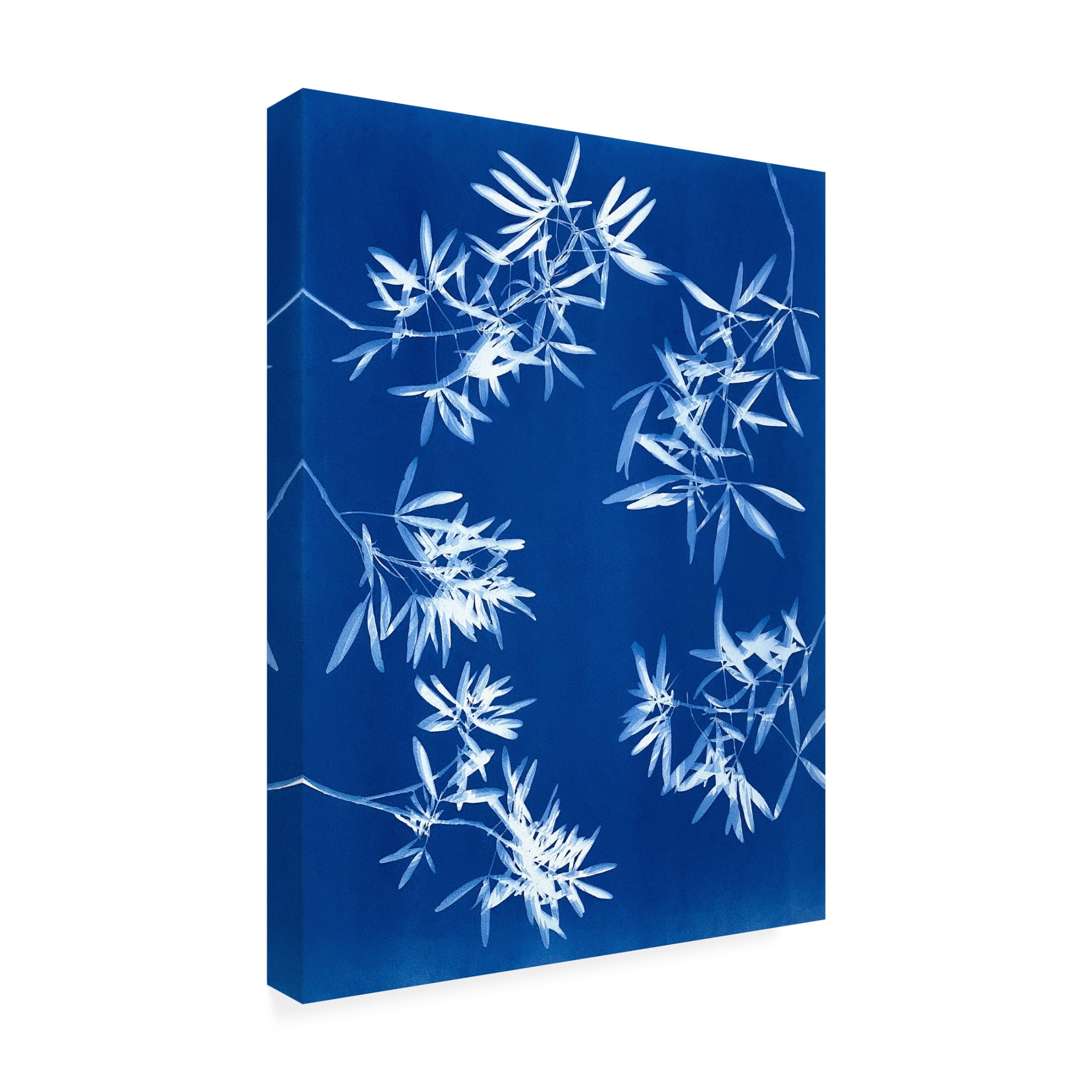 Canvas Wall Art - Christine So 'Light through Leaves 2' Wall Art for Living Room, Bedroom, or Office Décor by Trademark Fine Art - 24 x 32 Inches