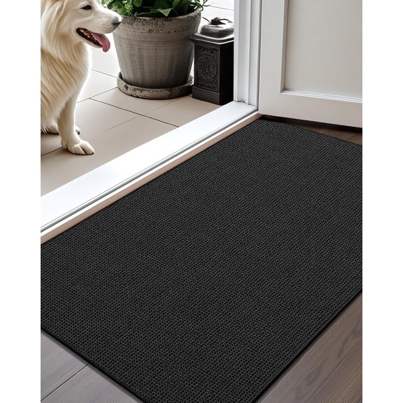 Thin Door Mat Indoor Entrance Non Slip Rubber Backed, 24"x36" Indoor Door Mats for Entryway, Dirt Trapper Doormat, Washable Front Door Rugs, Ebony Black