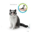 thumbnail image 1 of 1Pcs Figurines de Chat Mignon Mini Ragdoll Chaton Endormi Figurine Siamese PVC Miniature Jouet pour Enfants, 1 of 7
