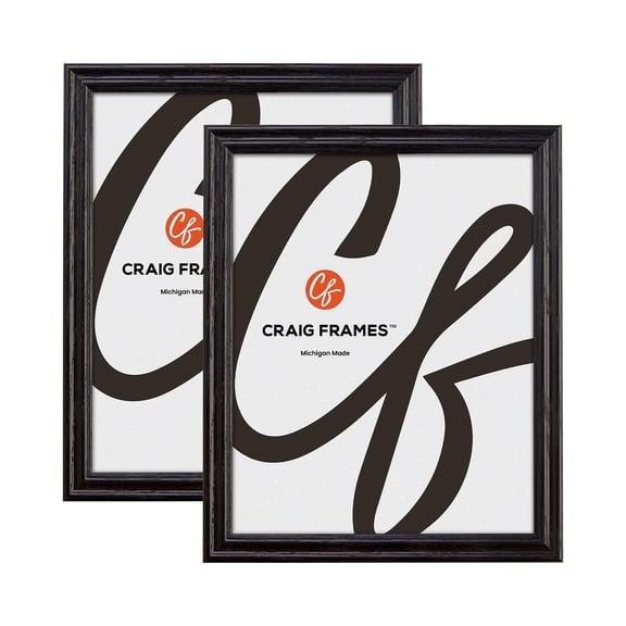 Craig Frames Black 20x30 inch Hardwood Picture Frame Wiltshire 200 Series, Set of Two