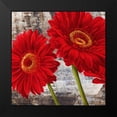 thumbnail image 2 of Thomlinson, Jenny 20x20 Black Modern Framed Museum Art Print Titled - Red Gerberas I, 2 of 5