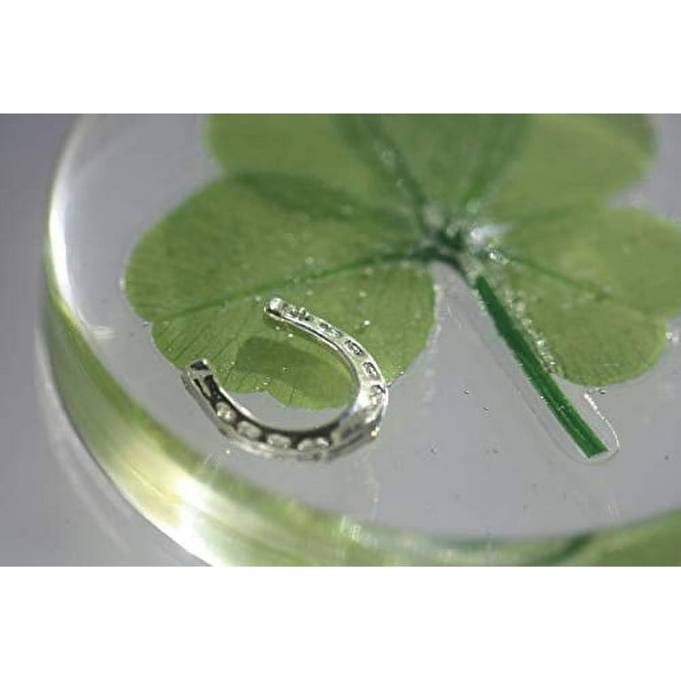 Real Four Leaf Clover Good Luck Pocket Token, Preserved, 1.25