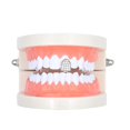 thumbnail image 1 of Hip Hop Teeth Personality Grills Single Teeth Exquisite Micro-Inlaid Zircon Braces Fashion Teeth Grills Set Grills Teeth Decoration for Halloween Party Performance, 1 of 9