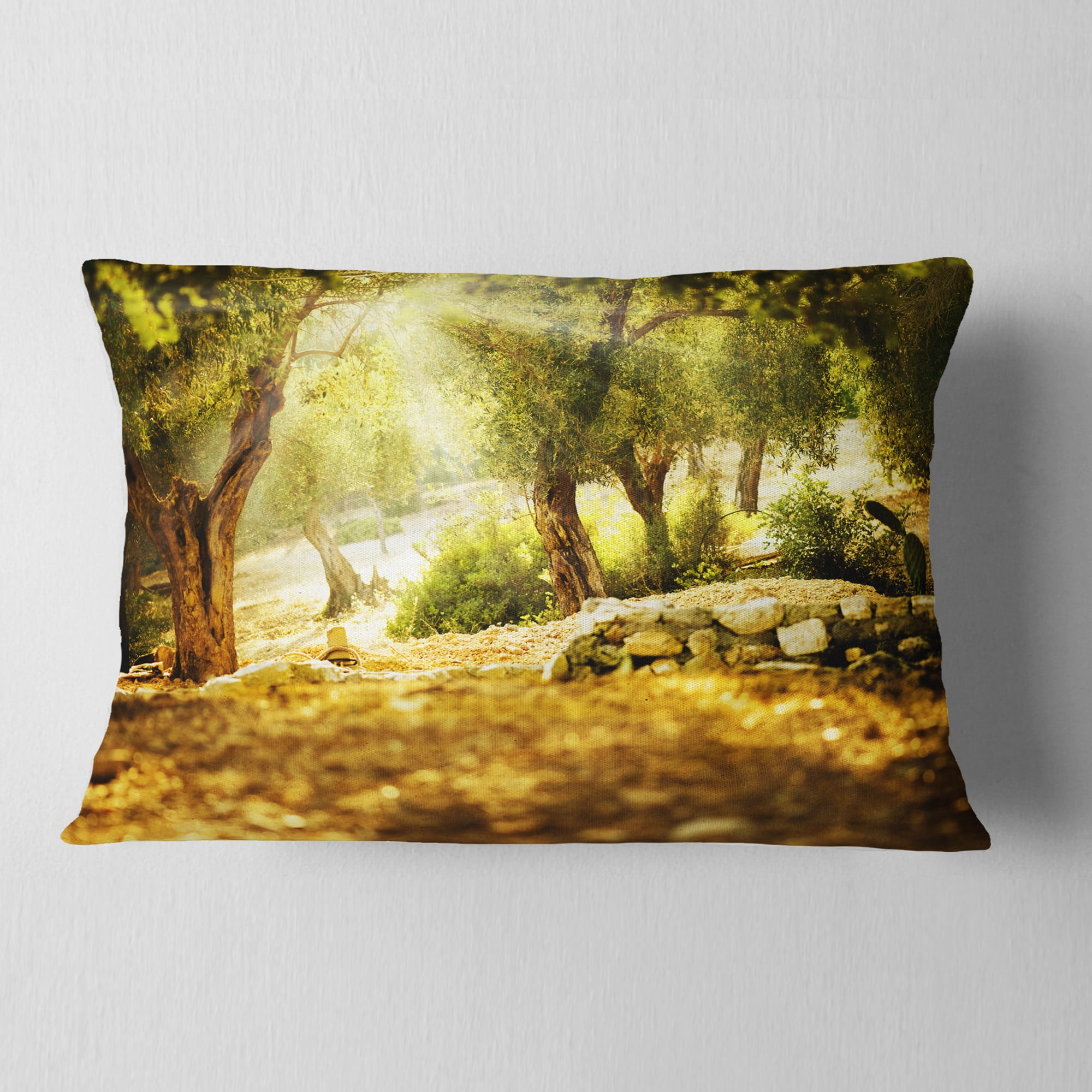Designart Olive Trees - Photography Throw Pillow - 12x20