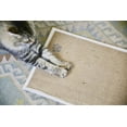 thumbnail image 4 of Kitty Cure Cat Mat, 4 of 6