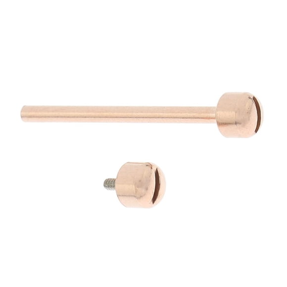 1 juego de tornillos de reloj de 18 mm/20 mm/22 mm para reparación de relojes, montaje de bricolaje, etc. 20mm