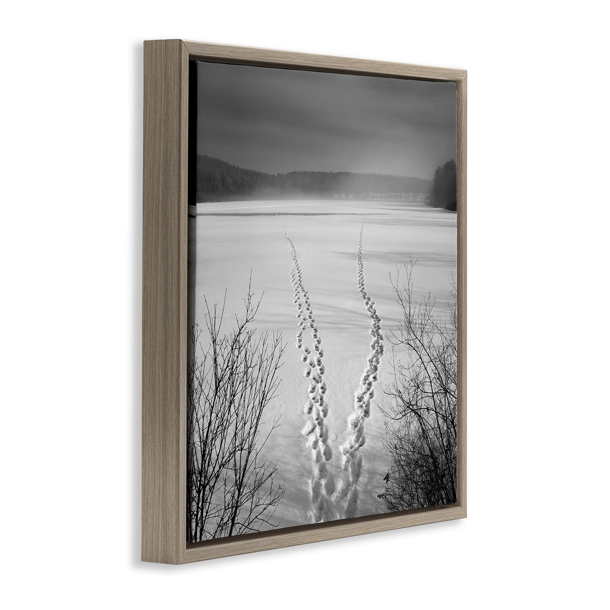 Stupell Industries Snowstep Tracks Across Frozen Lakes Brown Framed Floater Canvas Wall Art, design by Chip Forelli