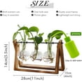 thumbnail image 2 of XXXFLOWER XXXFLOWER Plant Terrarium with Wooden Stand, Air Planter Bulb Glass Vase Metal Swivel Holder Retro Tabletop for Hydroponics Home Garden Office Decoration - 3 Bulb Vase, 2 of 6