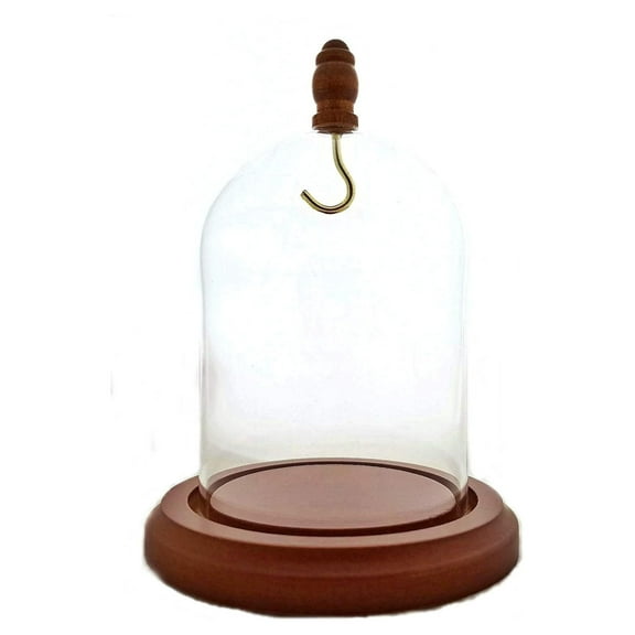 3 x 4 Pocket Watch Glass Display Dome Cloche with Hook & Wood Knob, Walnut Stained Base
