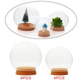 thumbnail image 1 of Elodie Glass Mini Transparent Terrarium Bottle Decoration Desktop Display, 1 of 5