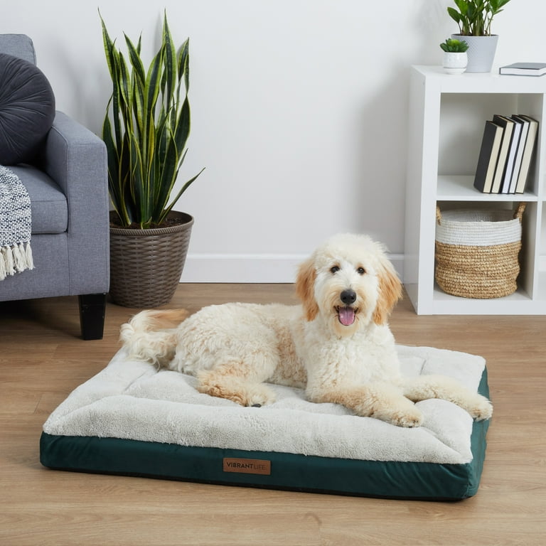 Vibrant 2025 dog bed