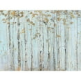 thumbnail image 3 of Swatland, Sally 14x12 Black Modern Framed Museum Art Print Titled - Soft Birch Forest, 3 of 5