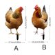 thumbnail image 3 of Outdoor Decoration Board Of Courtyard Chicken Acrylic Garden, 3 of 7