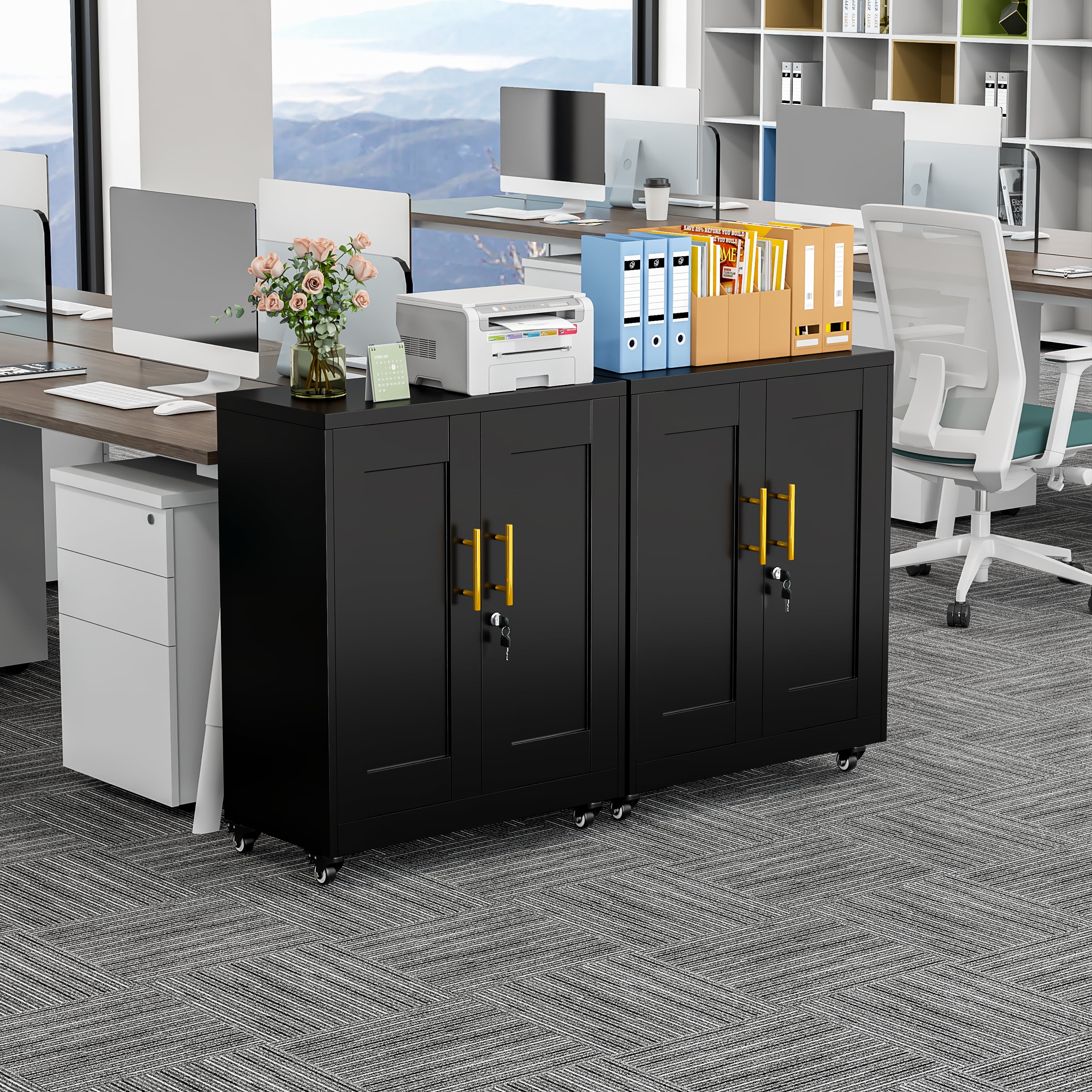 Modern Metal Accent Storage Cabinet with Doors and 2 Adjustable Shelves for Bathroom Home Office Living Room