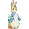 thumbnail image 1 of Pre-Owned All About Peter (Peter Rabbit), 9780241324554, 0241324556, Paperback, Illustrated edition, 1 of 1