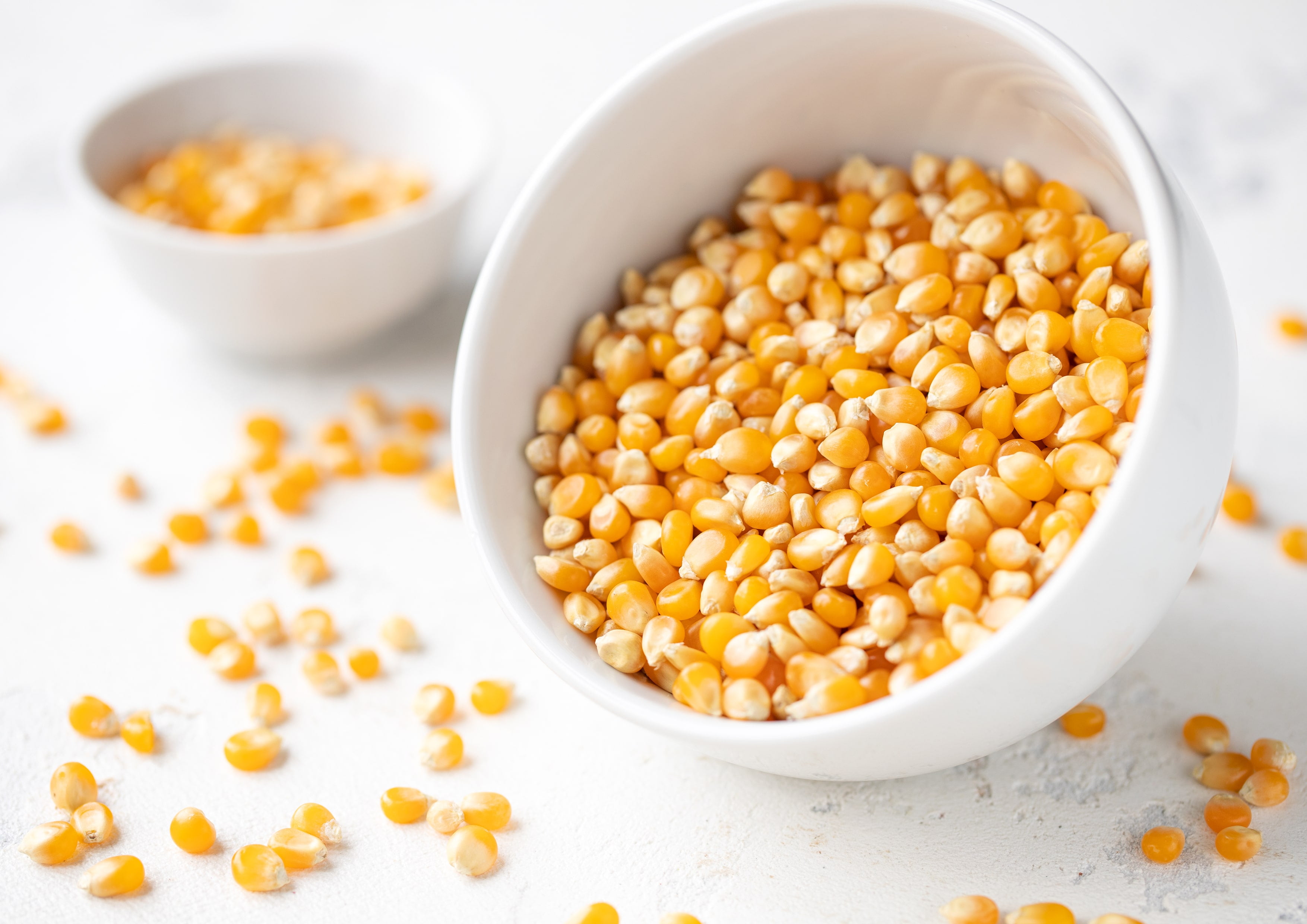 Organic Yellow Popcorn, 20 Pounds — Non-GMO, Vegan, Raw — by Food to Live