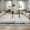 Gray, variant on Assaile 9 x 12 ft Polyester Area Rugs, Gray Runner Border Printed, Indoor Aesthetic Machine Washable Modern Rugs for Entryway Living Room