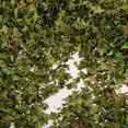 thumbnail image 6 of Colcolo 35ml Realistic Miniature Leaves, Model Scenery Leaf, Simulation Leaves for Fairy Garden, Train, Architecture, DIY Mini Model, 6 of 8