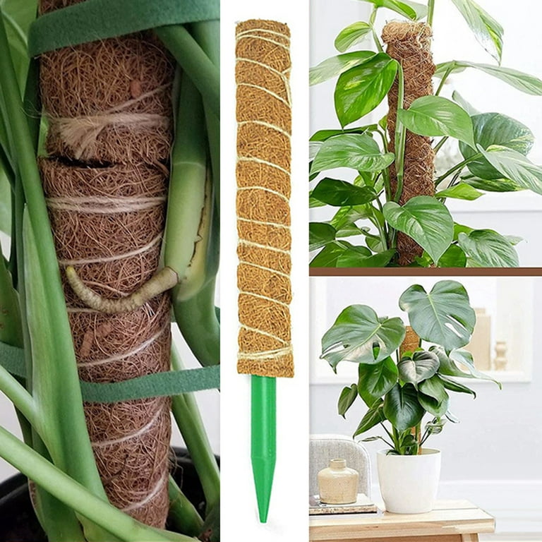 Cheers US Moss Pole for Plant Monstera, Plant Stakes Spagham Real Forest Moss Stick Handmade Potted Plant Support Soil Tools Support for Indoor