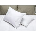 thumbnail image 2 of Envirosleep Dream Surrender Standard Pillow Set. 2 Pillows Polyester Filled Cotton Adult Men Women, 2 of 4