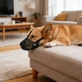 thumbnail image 3 of Breathable Silicone Muzzle with Secure Adjustable Fit and Ventilation Holes for Dogs - Biting Barking Chewing - Comfortable Daily Walk Training Tool - Control, 3 of 3