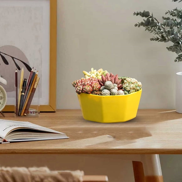 Flower Pots Large Diameter Planters with Holes for - Modern Indoor Outdoor Pots Suitable for African