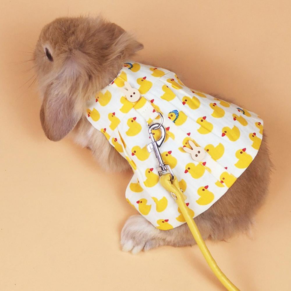 Amazon.com : Rabbit Clothes Halloween Costume Dinosaur Harness Adjustable  Hoodie for Halloween Dress Up Party Cosplay Photo Shoot for Rabbit  Chinchilla Guinea Pig Kitten Puppy Small Animal (M (Chest:11