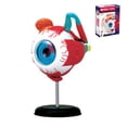 thumbnail image 4 of Eye Model 32Parts DIY Teaching Tool Educational Equipment Anatomical Model, 4 of 6