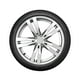 thumbnail image 2 of PAQUETE DE 2 LLANTAS BRIDGESTONE 315/30R20 101Y POTENZA S005 RFT, 2 of 4