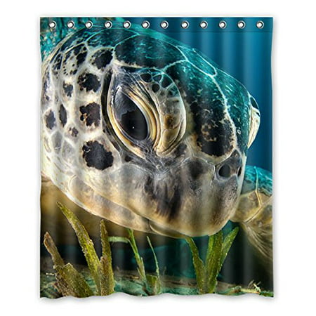GreenDecor Turtles Eat Seaweed Waterproof Shower Curtain Set with Hooks Bathroom Accessories Size 60x72 (Best Way To Eat Seaweed)
